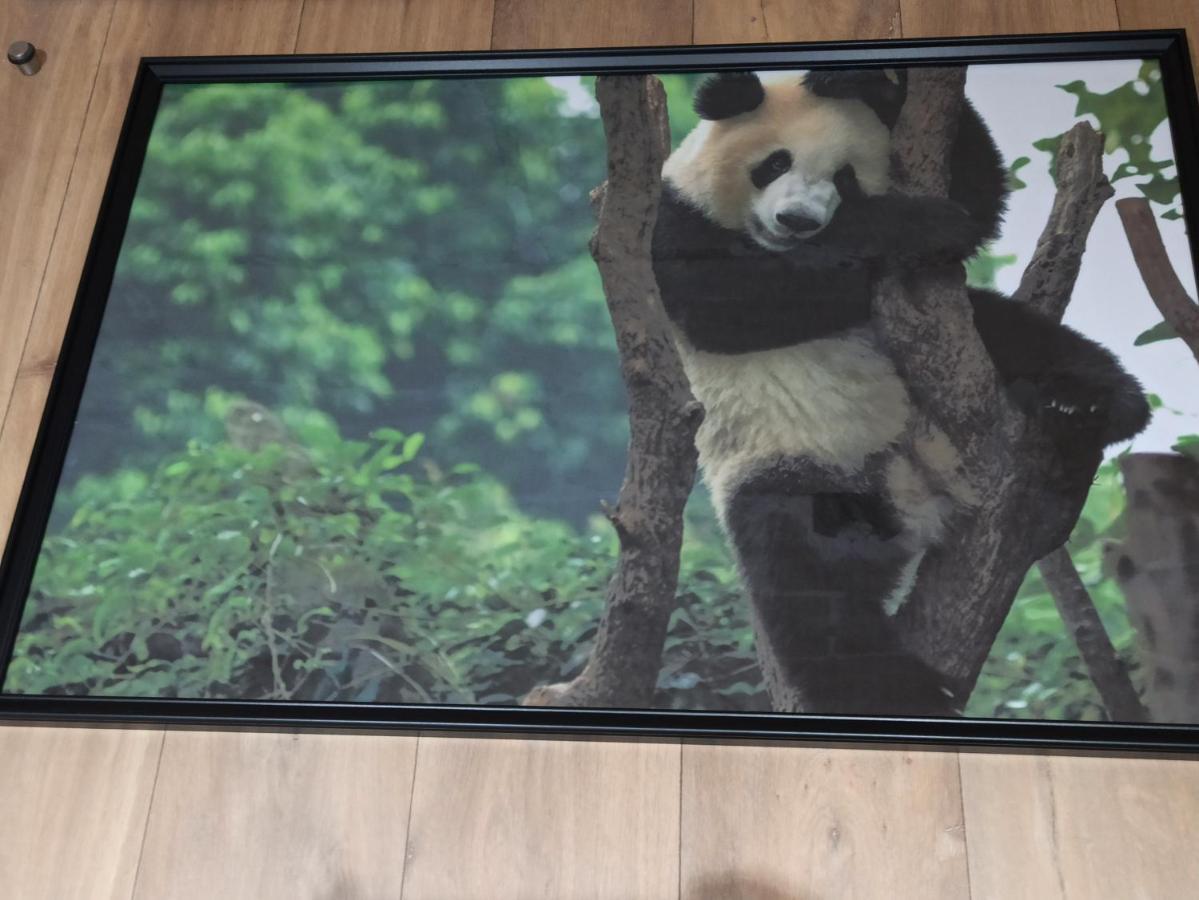 A 4 Min Du Zoo De Beauval La Maison A Partager Ch2 1Er Etage Saint-Aignan  Εξωτερικό φωτογραφία
